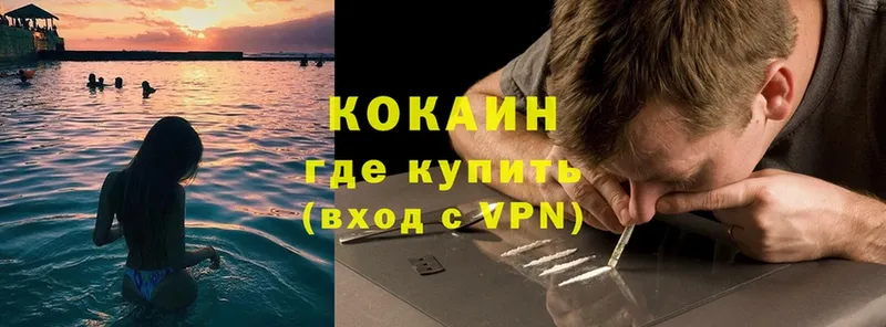 даркнет какой сайт  Кадников  COCAIN Fish Scale  наркошоп 